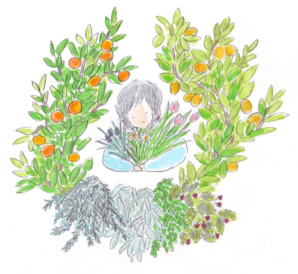 メイン写真：【募集】『植物の思い出』参加者募集｜AIRアーティスト：榎本浩子