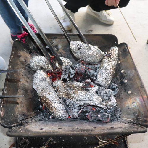 たき火でやきいもを焼こう【午前】