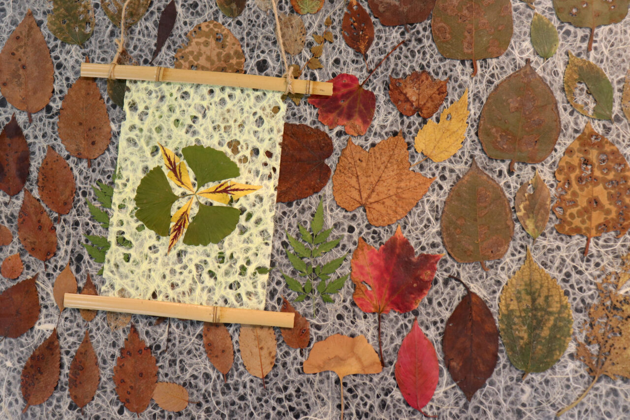 メイン写真：ワークショップ「押し葉でつくる『記憶のかけら』―植物のコラージュづくり」