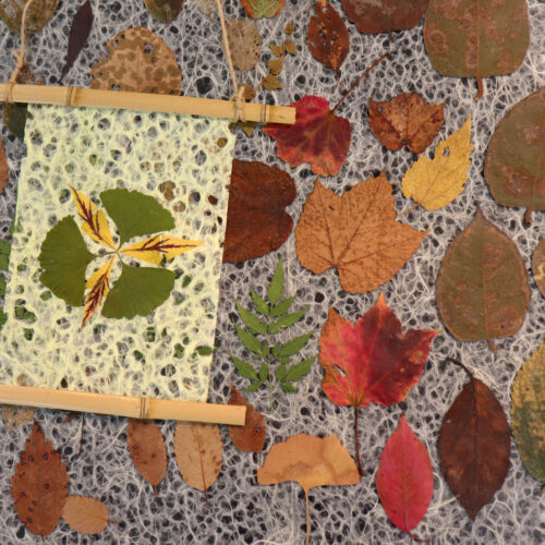 ワークショップ「押し葉でつくる『記憶のかけら』―植物のコラージュづくり」