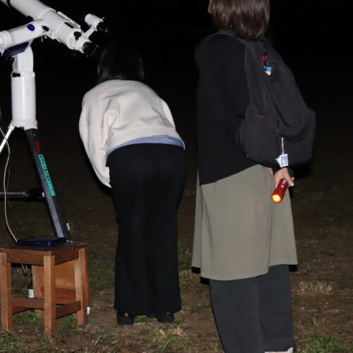 ゆいぽーとワクワク体験キャンプ2026・秋